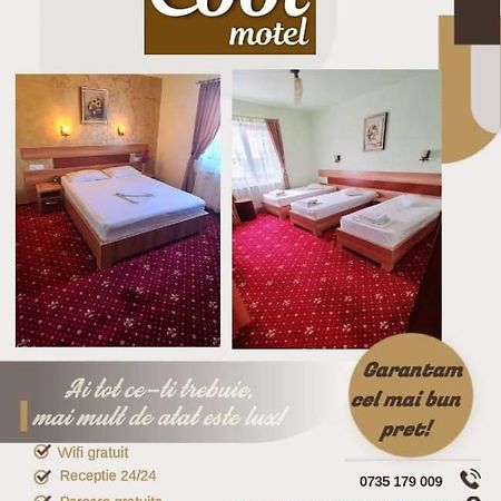 Motel Cool Bărcăneşti エクステリア 写真