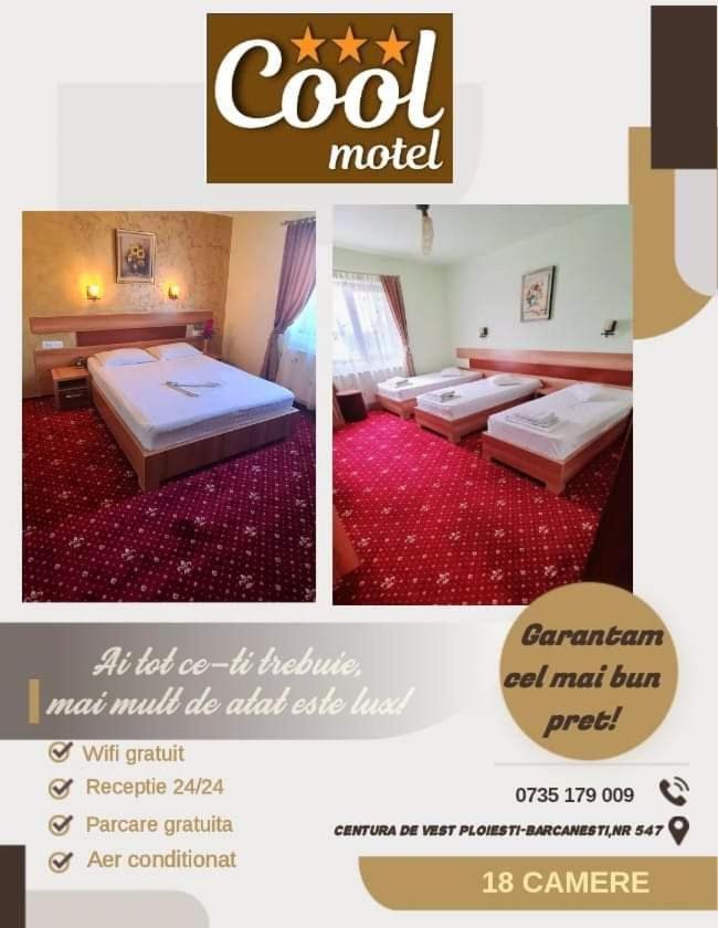 Motel Cool Bărcăneşti エクステリア 写真